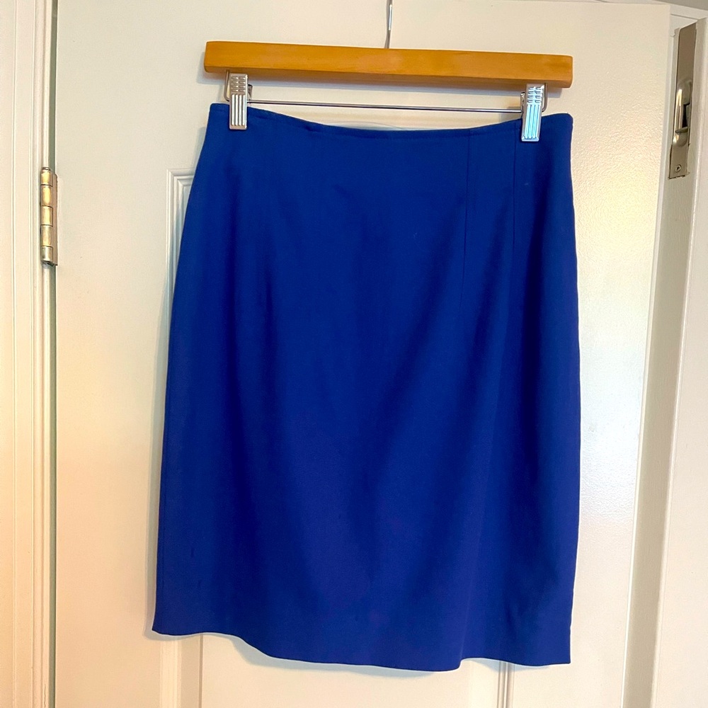 The Limited Beautiful Blue Skirt.
